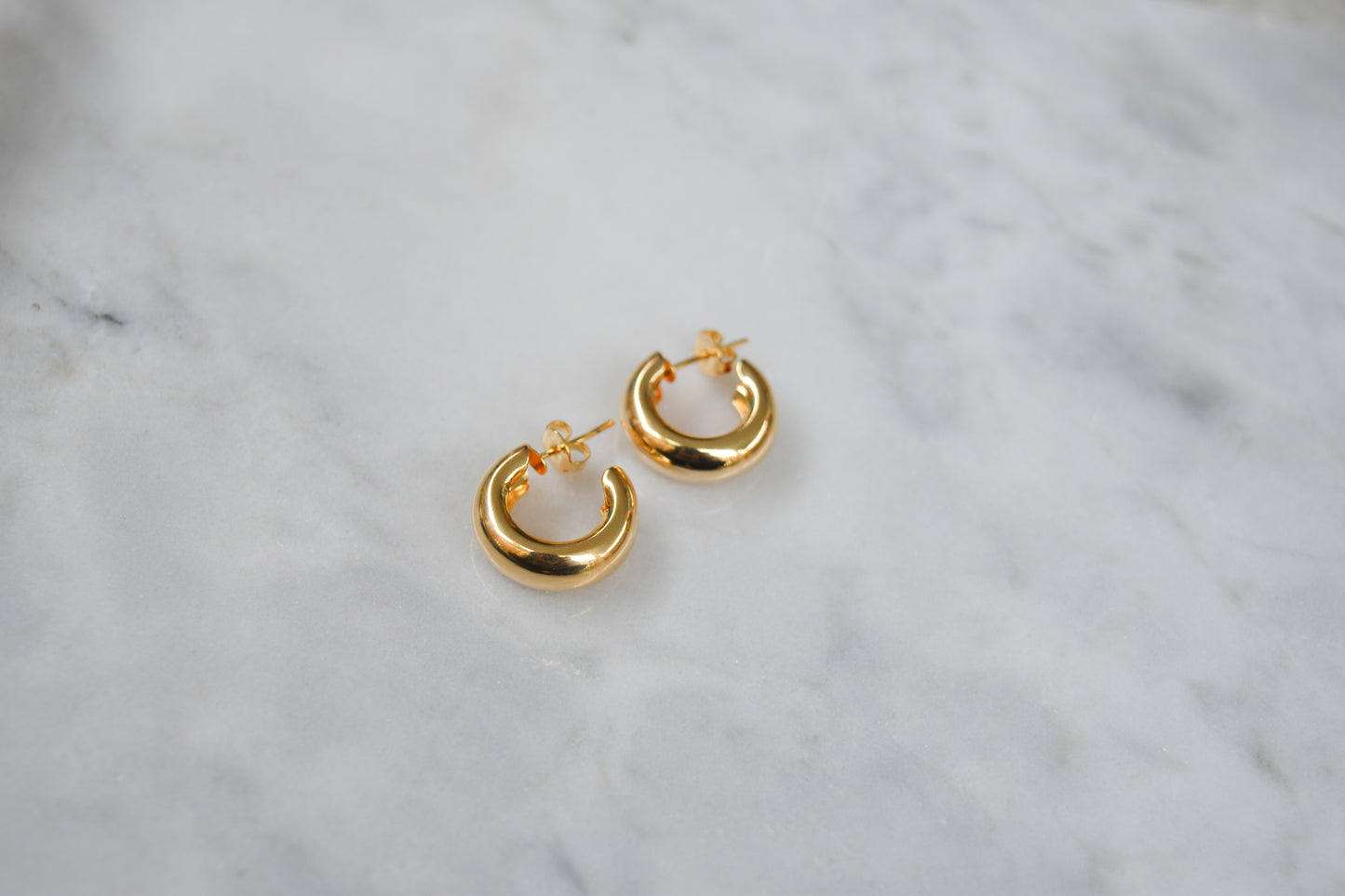 Monica Hoops